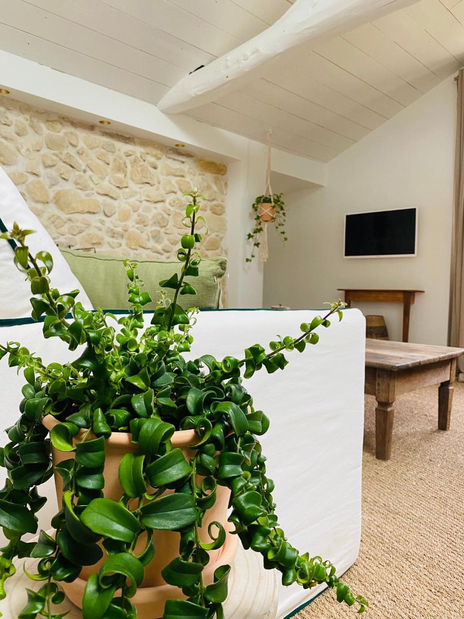 Apartmán La Bastide De Guiche Entre Ocean Et Montagnes Exteriér fotografie